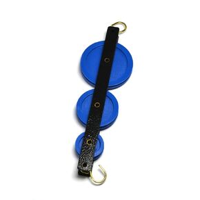 Eisco Labs Triple Long Pulley's - Plastic - Mounted in Metal Frame