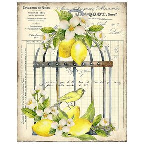 Twisted R Designs - Lemon Bird Cage Wall Art Canvas Prints - 11x14 Herb-Themed Wrapped Canvas - Made in USA Wall Art for Living Room, Bedroom, Office, & More, Herbal Decor