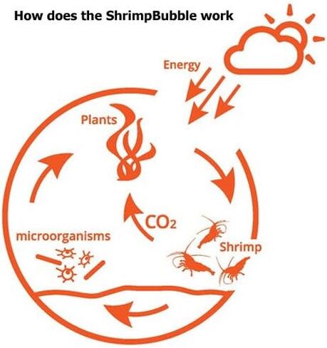 Self-Sustaining Ecosystem in Kuwait