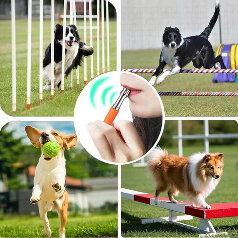 3 PCS Dog Whistles Set, Adjustable Recall Dog Training Whistle Silent Dog Whistle to Stop Barking with Lanyard,Dog Clicker(Orange) in Saudi Arabia