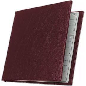 Executive Checkminder Checks Cover (Burgundy)