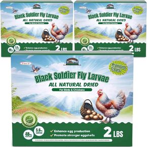 Dried Black Soldier Fly Larvae for Chickens 10LB - 100% Natural Non-GMO BSF Worms Treats More Calcium Than Mealworms for Birds, Insect Protein Chicken Feed for Laying Hens - Bird Seed Alternative