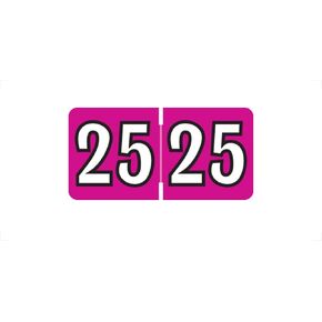 Mini 2025 Year Labels, Doctor Stuff 2025 Chart Stickers, Fuchsia Color Coded, Colwell Jewel Tone Style, USA Made Year Stickers for End Tab File Folders, 250/Pack, 1 Package, 1/2" x 1" - Small Labels