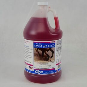MSM Blend Horse Joint Supplement - Helps Maintain Joint Mobility and Flexibility - 1 Gallon, 4 Month Supply in Kuwait