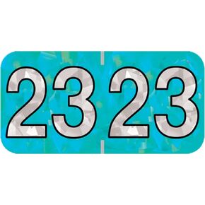 2025 Year Stickers, Doctor Stuff 2025 Chart Stickers, Holographic Aqua Colored, USA Made Year Labels for End Tab File Folders, Holo Series, 500 Labels per Roll, 1 Roll, 3/4" x 1-1/2"