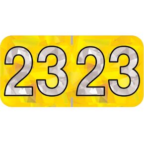 2025 Year Labels, Doctor Stuff 2025 Chart Stickers, Holographic Yellow Colored, USA Made Year Label for End Tab File Folders, Holo Series, 500 Labels per Roll, 1 Roll, 3/4" x 1-1/2"