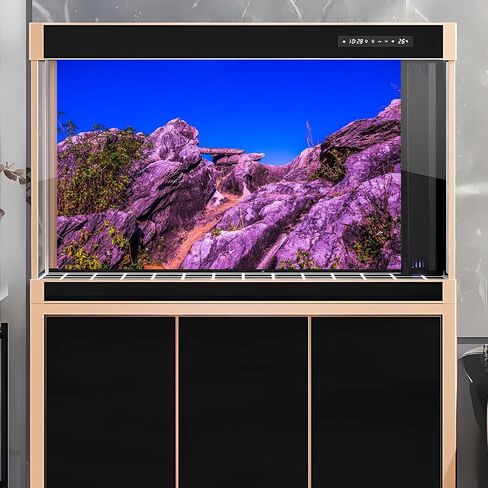 Desert Reptile Habitat Background Arid Landscape of Hot Sahara Desert Terrarium Background Desert Cacti and Sand with Dunes Aquarium Background Natural Hot Desert Fish Tank Background Vinyl 36x18in in Kuwait