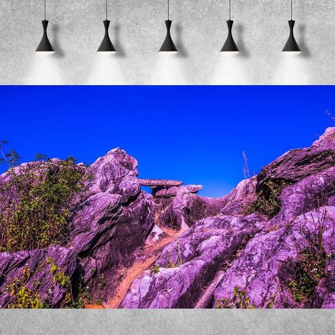 Desert Reptile Habitat Background Arid Landscape of Hot Sahara Desert Terrarium Background Desert Cacti and Sand with Dunes Aquarium Background Natural Hot Desert Fish Tank Background Vinyl 36x18in in Kuwait