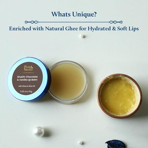 Blue Nectar Ayurvedic Orange Lip Balm with Organic Ghee & Natural Vitamin C for Dry Lips | Moisturizing Lip Gloss with Clean Ingredients (0.35 oz, 10 Herbs) in Kuwait