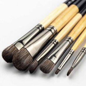 HBJWOV 6Pcs Soft Squirre Hair Artistic Paint Brush Set for Acrylic Aquarlle Oil Painting Round Watercolor Brushes Art Supplies