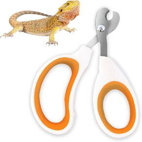 Bearded Dragon Toe Stainless Steel Nail Clippers with Precise Bevel Design, Angled Grooves & Non-Slip Grip - Professional and Safe Pet Grooming Tools（Orange）