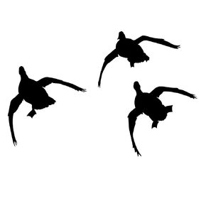 Ducks Comin’ at Ya! Duck Hunting Decal – 3 Ducks Comin’ at Ya! Duck Hunting Sticker Waterfowldecals – 5064-SW-01 (Small, Silver metallic)