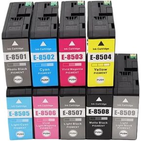Compatible with Replacement SureColor SC P800 Printers Available in 9 Colors T8501 to T8509 Pigment Ink Cartridge(T8507-LK)