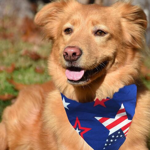4th of July Dog Bandanas & Matching Scrunchie Set Blue Independence Holiday Bandana for Medium Large Pet Dogs Birthday and Owner Gifts,Durable Triangle Single Sided Dog Scarf 17.7x17.7X 25.6 Inches in Kuwait