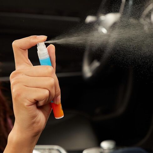 Armor All Fresh FX Charcoal Deodorizer Bags , Natural Bamboo Car Odor Eliminator, Fragrance Free, 9 Pack in Kuwait