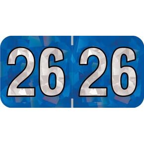 2025 Year Stickers, Doctor Stuff 2025 Chart Stickers, Holographic Blue Colored, USA Made Year Labels for End Tab File Folders, 500 Labels per Roll, 1 Roll, 3/4" x 1-1/2"