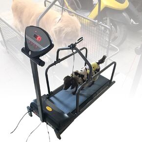 Electric Dog Treadmill for All Breeds - Quiet Motor, Adjustable Speed, LCD Display - Indoor Pet Fitness Machine for Small, Medium & Large Dogs & Cats