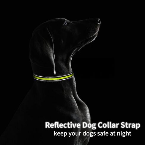 Modern Stylish Ecollar Replacement Strap, 3/4" Nylon Replacement Collar for Shock Collar with Quick Release Buckle, Adjustable Shock Collar Replacement Strap for Small Medium Large Dogs(Orange & Blue) in Saudi Arabia
