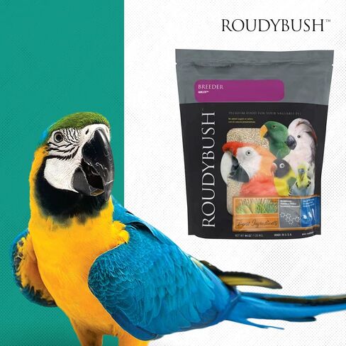 Roudybush Breeder Bird Food, Nibbles, 25-Pound in Saudi Arabia