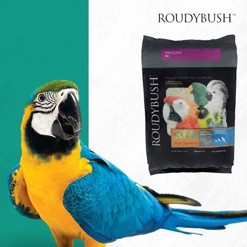 Roudybush Breeder Bird Food, Nibbles, 25-Pound in Saudi Arabia