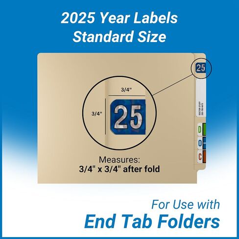2025 Year Stickers, Doctor Stuff 2025 Chart Stickers, Holographic Blue Colored, USA Made Year Labels for End Tab File Folders, 500 Labels per Roll, 1 Roll, 3/4" x 1-1/2" in Kuwait