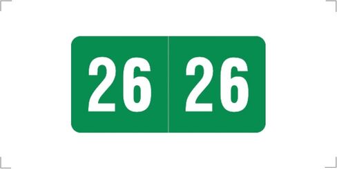 2024 MINI Year Stickers, Orange, Compatible with Smead ETS Series, Doctor Stuff 2024 Chart Stickers, USA Made Year Labels for End Tab File Folders, 250/Pack, 1 Package, 1/2" x 1" - Small Labels in Saudi Arabia