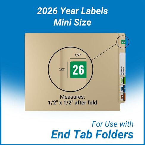 2024 MINI Year Stickers, Orange, Compatible with Smead ETS Series, Doctor Stuff 2024 Chart Stickers, USA Made Year Labels for End Tab File Folders, 250/Pack, 1 Package, 1/2" x 1" - Small Labels in Saudi Arabia