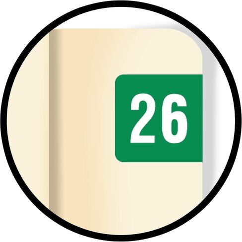 2024 MINI Year Stickers, Orange, Compatible with Smead ETS Series, Doctor Stuff 2024 Chart Stickers, USA Made Year Labels for End Tab File Folders, 250/Pack, 1 Package, 1/2" x 1" - Small Labels in Saudi Arabia