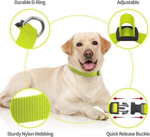 Dog Collar Reflective,2-Pack 3/4 Inch Stylish Dog Collar with Quick Release Buckle, Adjustable Replacement Collar for Shock Collar Dog Collars for Small Medium Large Dogs(Black & Green) in Saudi Arabia