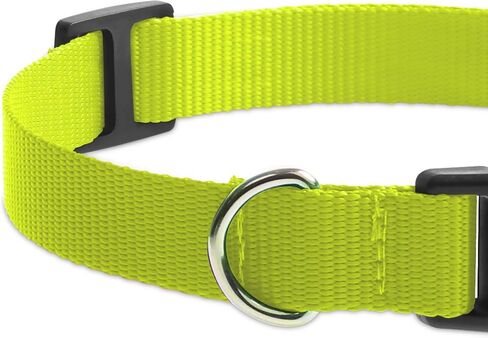 Dog Collar Reflective,2-Pack 3/4 Inch Stylish Dog Collar with Quick Release Buckle, Adjustable Replacement Collar for Shock Collar Dog Collars for Small Medium Large Dogs(Black & Green) in Saudi Arabia