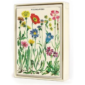 Cavallini & Co. Wildflowers بطاقات الملاحظات المعبأة