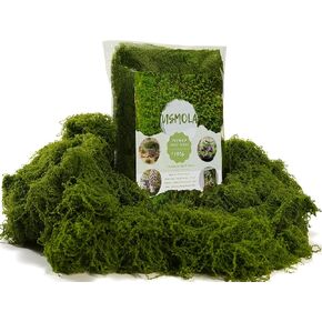 3.5OZ Fake Moss for Plants Indoor - Artificial Moss for Table Centerpieces, Fairy Gardens, Terrariums - Realistic Faux Grass for Wedding Christmas Party Decor (Forest Green)