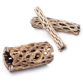خشب Cholla الطبيعي - 4pc (1 6 "نفق/سجل + 2 6" العصي)