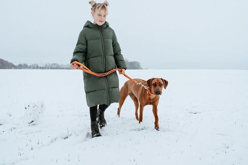 Hunter HT61891 Cannes Leather Training Leash ، حجم واحد in Kuwait