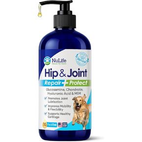 Liquid Glucosamine for Dogs - Advanced Joint Supplement for Dogs Ages with Chondroitin, MSM & Hyaluronic Acid - Repairs & Protects Joints, Supports Mobility & Pain Relief - 16oz
