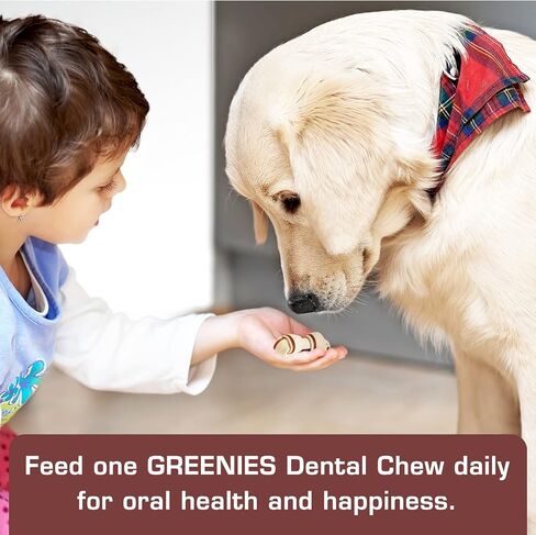 Urbanx Healthybones Healthyhide Free Healthy Foods for Welsh Springer Spaniel وغيرها من الكلاب الرياضية Med ، وأطعمة الكلاب ملفوفة بالدجاج ، وأطعمة مطاطية ناعمة للمكافآت التدريبية ، 7 Count in Kuwait