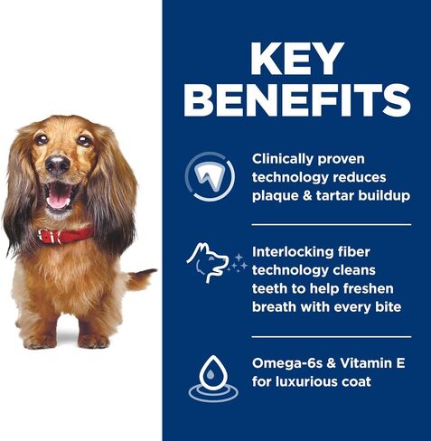 Hill's Science Diet Oral Care, Adult 1-6, Plaque & Tartar Buildup Support, Dry Dog Food, Chicken, Rice, & Barley, 4 lb Bag in Saudi Arabia
