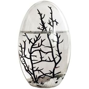 Eccosmo- Closed Ecosystem, Small Oval 5"