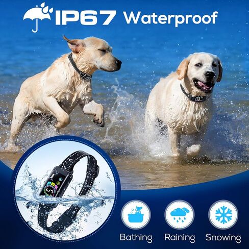Bark Collar, 2 Pack Smart Dog Bark Collar for Large Medium Small Dogs, Anti Barking Device for Dogs Training Collar with Beep Vibration Harmless Shock, 5 Adjustable Sensitivity (Black) in Saudi Arabia