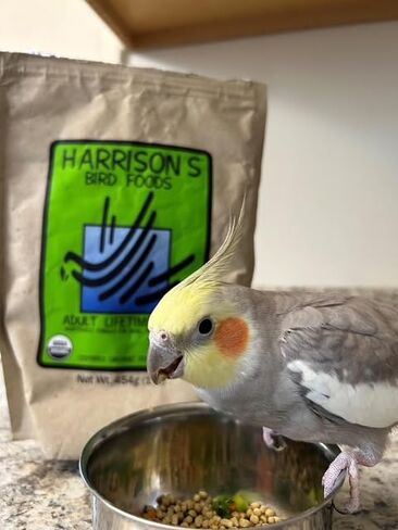 Harrison's Bird Foods Bird Food Adult Lifetime Fine Certified Organic Non-GMO Formula Bird Food 1lb in Kuwait