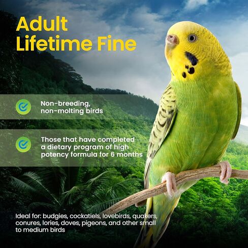 Harrison's Bird Foods Bird Food Adult Lifetime Fine Certified Organic Non-GMO Formula Bird Food 1lb in Kuwait
