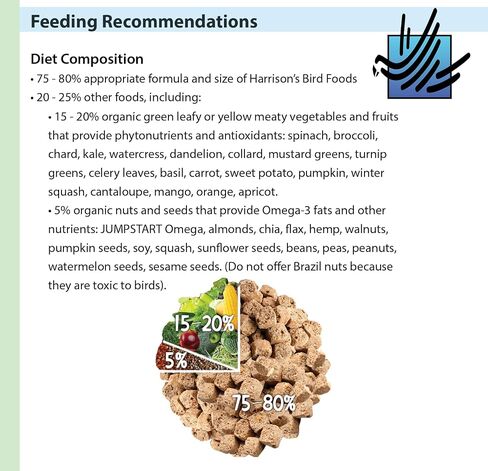 Harrison's Bird Foods Bird Food Adult Lifetime Fine Certified Organic Non-GMO Formula Bird Food 1lb in Kuwait