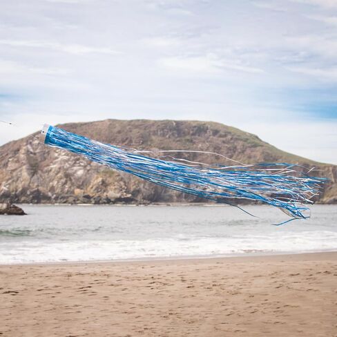 في Breeze 9052 Silver Holographic Mylar Windsock in Kuwait