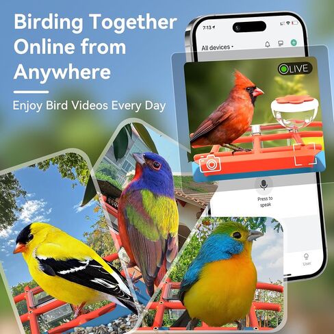 Rayki Solar Bird Feeder with Camera for Birdwatching, 2K HD with AI Recognition and Real-Time App Alerts, Smart Birdfeeder House Outdoor, IP65 Waterproof, Ideal Gifts for Bird Lovers, Blue in Kuwait