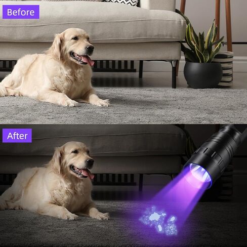DARKBEAM Flashlight UV 395nm Black Light, Mini & Powerful Wood’s Lamp USB -C LED Rechargeable Blacklight, 10W Portable Pet Dog Urine Detector - Resin Curing, Fluorescent, Scorpion Detection in Saudi Arabia