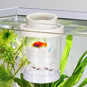 Breeder Box for Fish Tank, Aquarium Breeder Box Plastic Floating Baby Fish Separator for Aquarium Transparent Hatchery Isolation Incubator for Shrimp Betta Clownfish Guppy