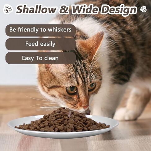 Stainless Steel Cat Dishes with Fishbone Pattern, Metal Cat Food Dishes, 6.7" Wide Whisker Friendly Cats Plates, Cute Plates with Non-Slip Pad for Indoor Cats 4 PCS in Saudi Arabia