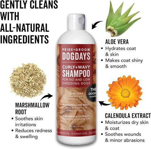 Pride and Groom DogDays Deshedding Dog Shampoo | Fast-Acting Coat Softener & Shedding Control | All-Natural Dog Wash with Essential Oils | Reduces Excess Fur & Dander for Curly & Wavy Coats – 16 oz in Kuwait