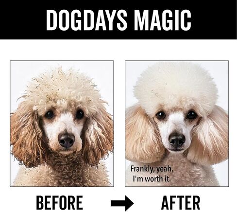 Pride and Groom DogDays Deshedding Dog Shampoo | Fast-Acting Coat Softener & Shedding Control | All-Natural Dog Wash with Essential Oils | Reduces Excess Fur & Dander for Curly & Wavy Coats – 16 oz in Kuwait