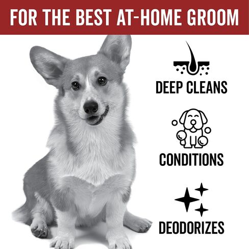 Pride and Groom DogDays Deshedding Dog Shampoo | Fast-Acting Coat Softener & Shedding Control | All-Natural Dog Wash with Essential Oils | Reduces Excess Fur & Dander for Curly & Wavy Coats – 16 oz in Kuwait